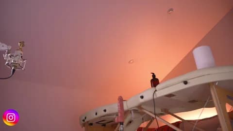 Lilevame from Stripchat - Jan 17, 2026 19:58 - 120 min