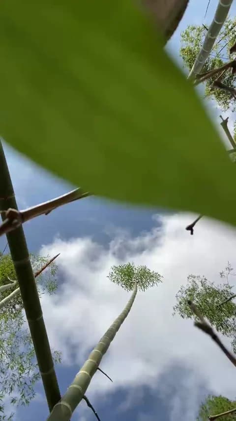 Stailers from Cam4 - Jan 14, 2026 15:42 - 41 min