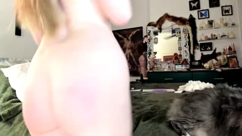 eve003300 from Chaturbate - Feb 21, 2026 04:17 - 90 min