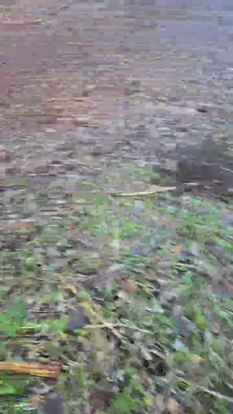 likescock5 from Cam4 - Jan 16, 2026 16:36 - 64 min