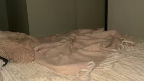 taliavaine from Chaturbate - Jan 19, 2026 20:56 - 100 min